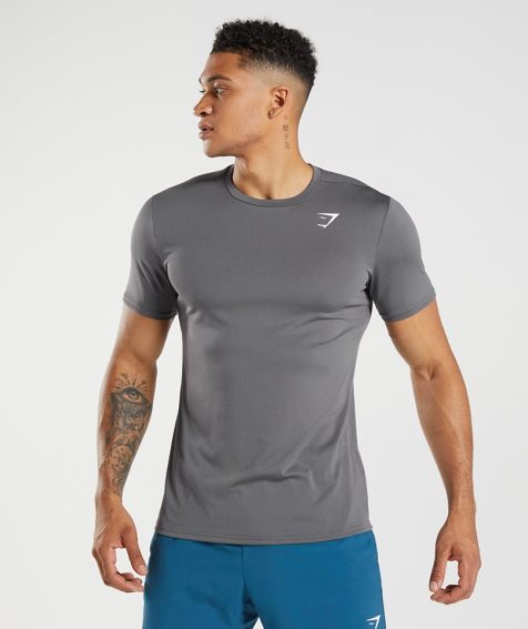 Men's Gymshark Arrival T-Shirts Grey | CA 18A703